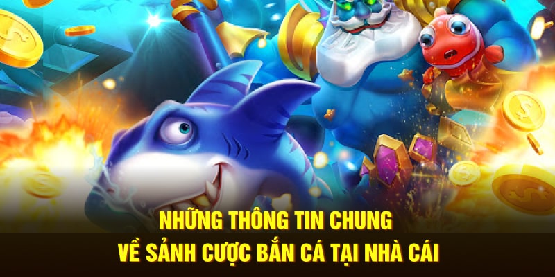 Những thông tin chung về nền tảng giải trí chất lượng, độc đáo